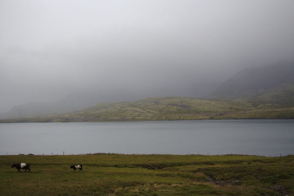 Paysage des fjords de l'Est dans le brouillard