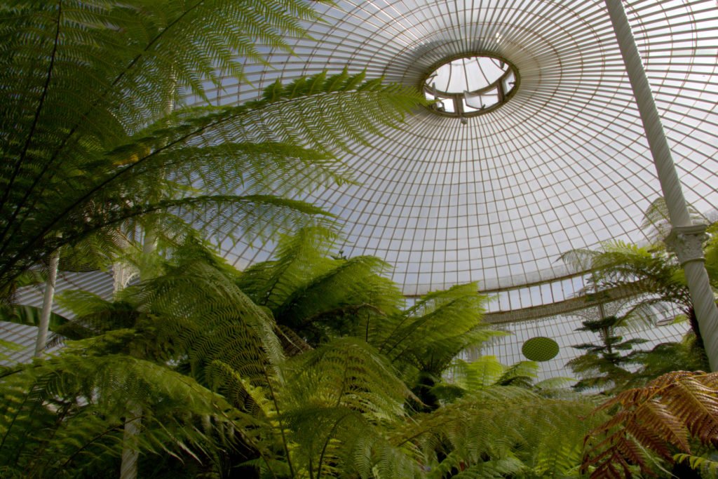 Intérieur d'une verrière des Glasgow Botanic Gardens