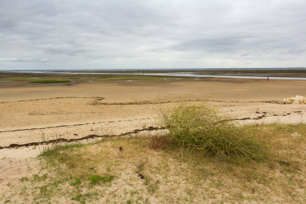 Panorama sur le bassin d'Arcachon à marée basse