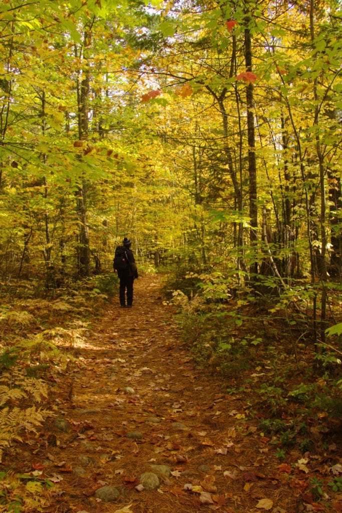 Une promenade en pleine nature au Québec qui inspire à voyager autrement