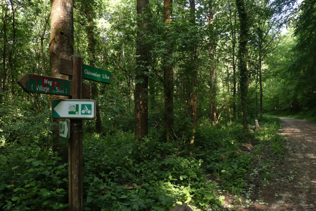 Un panneau de la Véloscénie dans la forêt de Magny