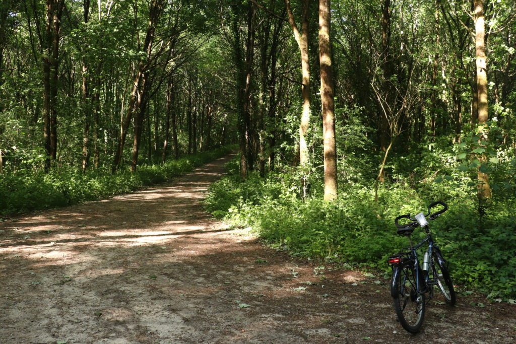 Micro aventure sur la Véloscénie dans la forêt de Magny
